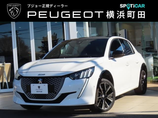 e-208 GT 
