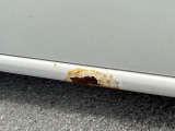 外装 キズ・凹み板金塗装は有料にてお受けいたします。
