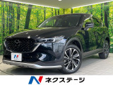 シグネチャーエアロ 全周囲カメラ 純正8.8型ナビ 衝突軽減装置 禁煙車