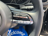 登録した速度に保ち走行するレーダークルーズコントロール付き。高速やバイパスでの運転支援に役立つ便利アイテムです!