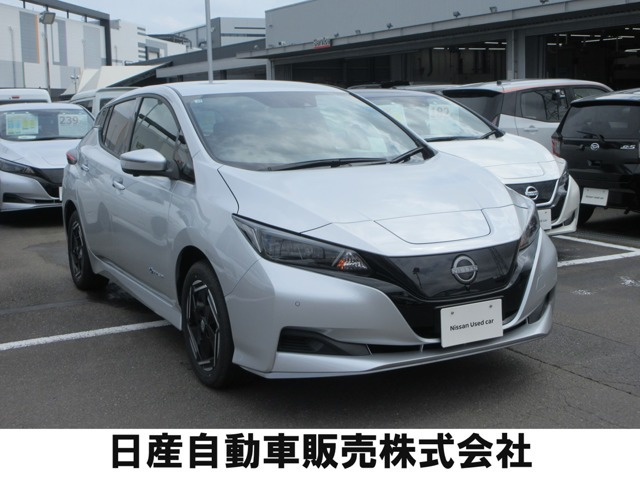 リーフ e+ X
