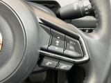 レーダー.クルーズ.コントロールをハンドルを握りながら片手で簡単に速度や車間距離を確定できます。