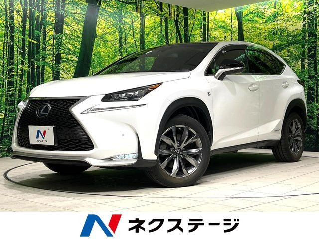 NX 300h Fスポーツ