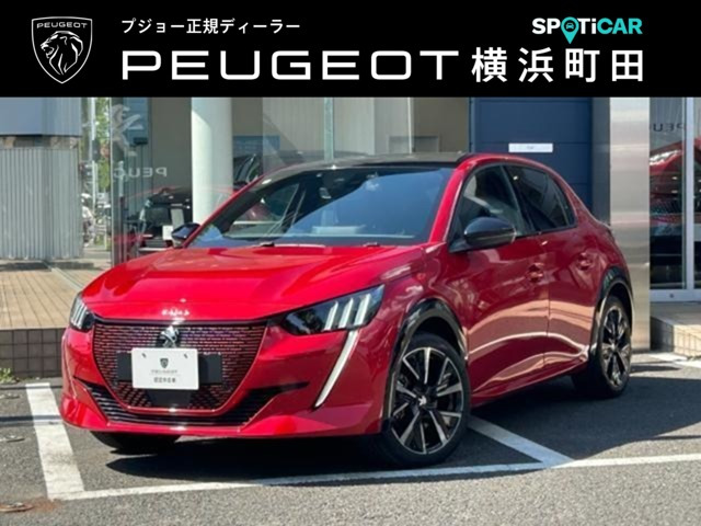 e-208 GT