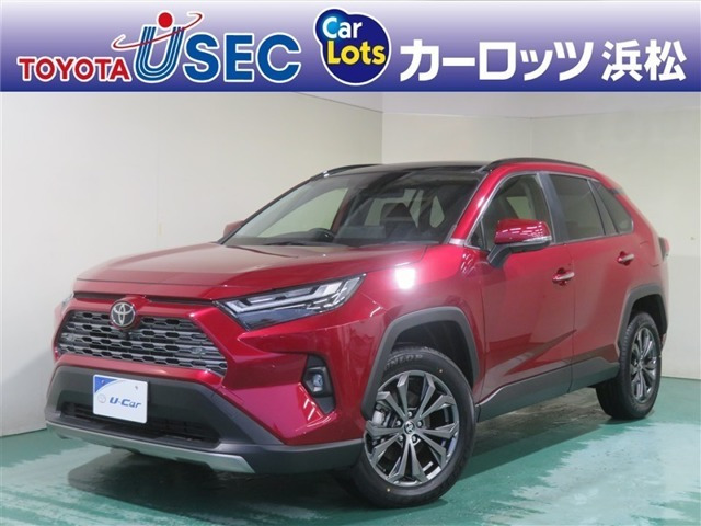 RAV4 2.5 ハイブリッド G E-Four 4WD 雹害