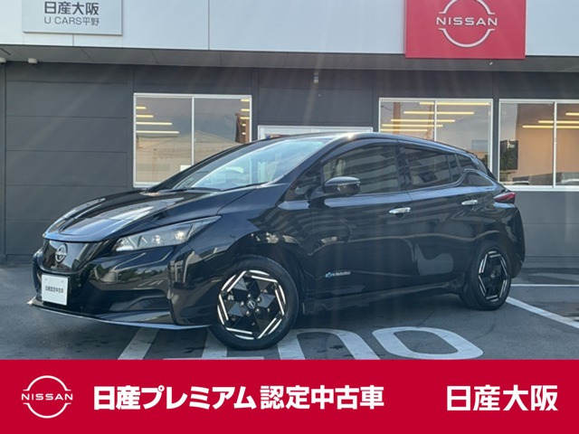 リーフ e+ X