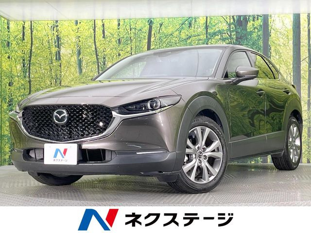 CX-30 2.0 20S プロアクティブ