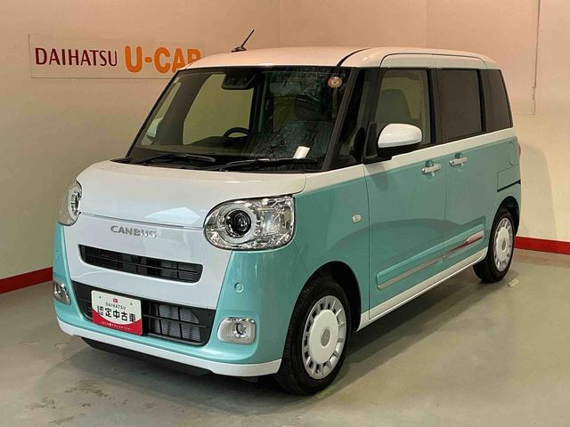 ムーヴキャンバス  ストライプス G