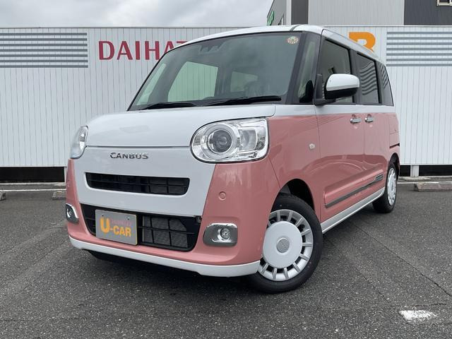 ムーヴキャンバス  ストライプス G