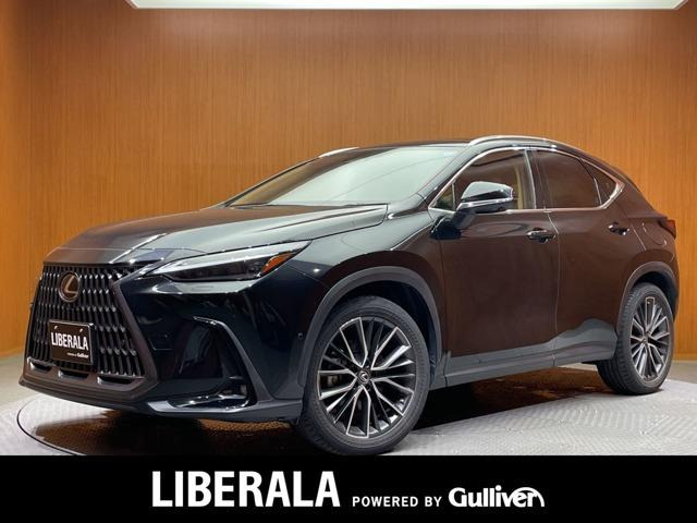 NX 350h バージョンL 本革シート 修復歴無し