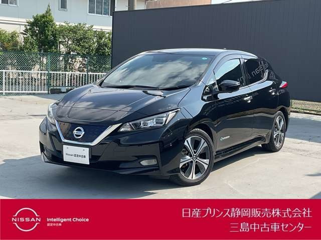 リーフ G