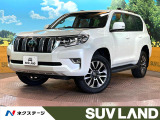 4WD サンルーフ メーカ9型ナビ 純正オプション19インチアルミ
