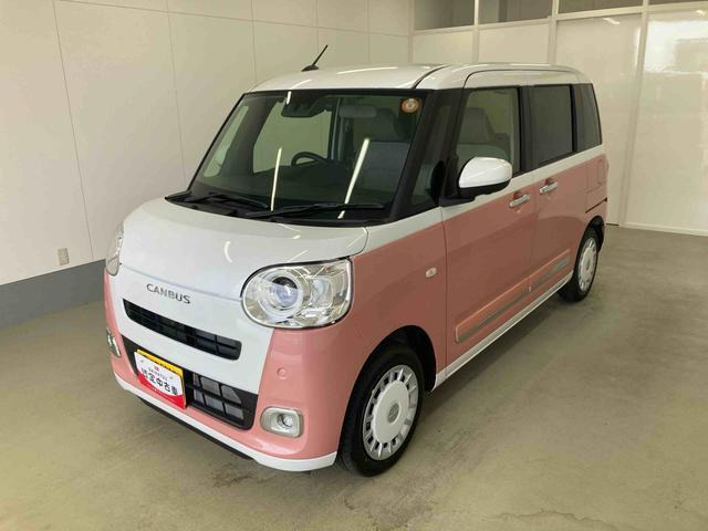 ムーヴキャンバス ストライプス G