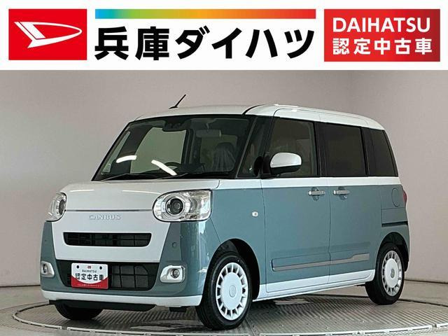 ムーヴキャンバス  ストライプス G