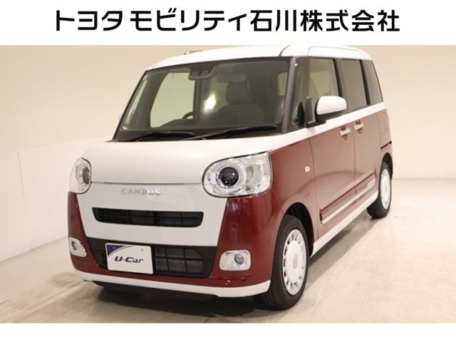 ムーヴキャンバス  ストライプス G
