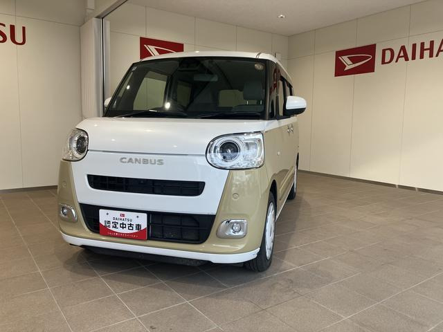 ムーヴキャンバス ストライプス G