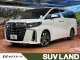 禁煙車 ツインムーンルーフ フリップダウン 純正10型ナビ バックカメラ