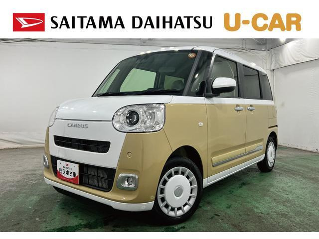 ムーヴキャンバス  ストライプス G