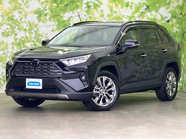 RAV4 2.0 G Zパッケージ 4WD （6BA-MXAA54）