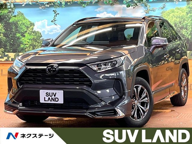 RAV4 2.0 X