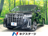 両側電動ドア 純正9型ディスプレイオーディオ 後席モニター バックカメラ