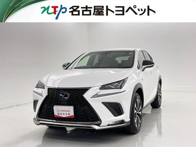 NX 300h Fスポーツ 