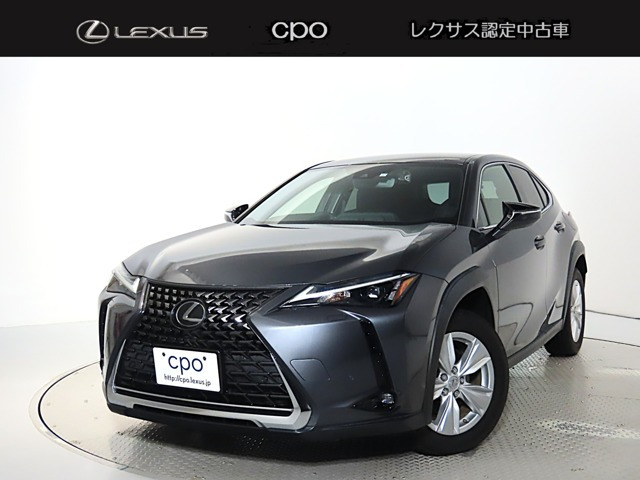 UX 250h バージョンC