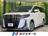 モデリスタエアロ 純正10インチナビ 13インチ後席モニター 衝突軽減