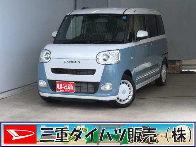 ムーヴキャンバス  ストライプス G