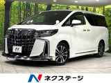 モデリスタエアロ 両側電動ドア 後席モニター バックカメラ 寒冷地仕様