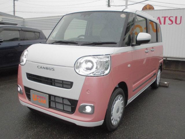 ムーヴキャンバス  ストライプス G