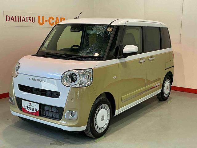 ムーヴキャンバス  ストライプス G