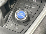 RAV4 2.0 アドベンチャー オフロードパッケージ 4WD 