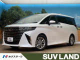 サンルーフ 後席モニター 全周囲カメラ ユニバーサルステップ ETC