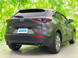 CX-30 2.0 20S プロアクティブ ツーリングセレクション 4WD 