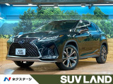 12型ナビフルセグ 全周囲カメラ レーダークルーズ AC100V電源 茶