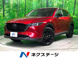 ディーゼル(軽油)純正10インチナビ 全周囲カメラ 衝突被害軽減システム