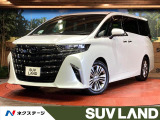 デジタルインナーミラー 両側電動ドア 全周囲カメラ 100V電源
