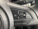 【クルーズコントロール】高速道路もラクラク走行。アクセルを離しても一定速度で走行ができ、長距離運転時の負担を軽減!加速・減速も簡単なスイッチ操作で調整できます。