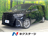 両側電動ドア 全周囲カメラ 100V電源 衝突被害軽減システム
