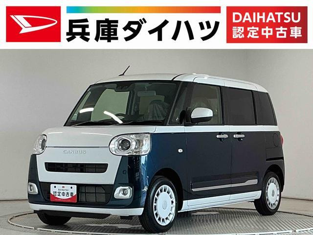 ムーヴキャンバス  ストライプス G