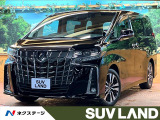 禁煙車 フリップダウン 純正9型ナビ バックカメラ レーダークルーズ