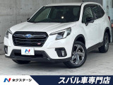 セイフティプラス 電動リアゲート 禁煙車 赤革 SDナビ バックカメラ