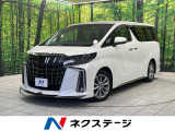 両側電動スライド 純正9型ナビ 12型後席モニター バックカメラ