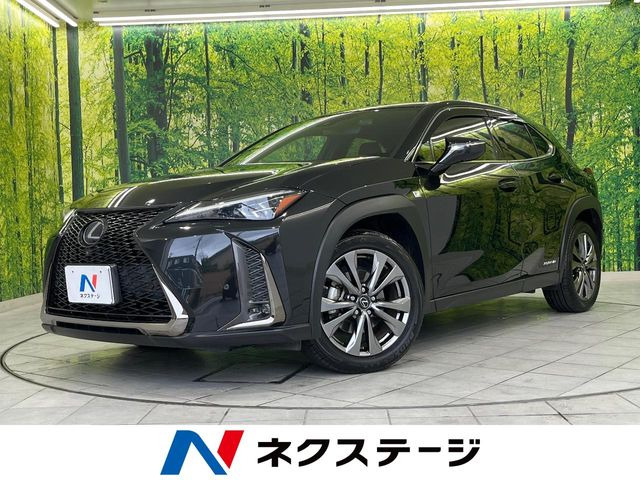 UX 250h Fスポーツ