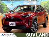 レーダークルーズ 電動リアゲート ハーフレザーシート パワーシート