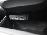ナビ接続用USBと音声入力用のピンプラグ端子