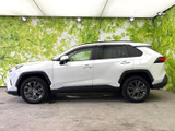 RAV4 2.0 X 