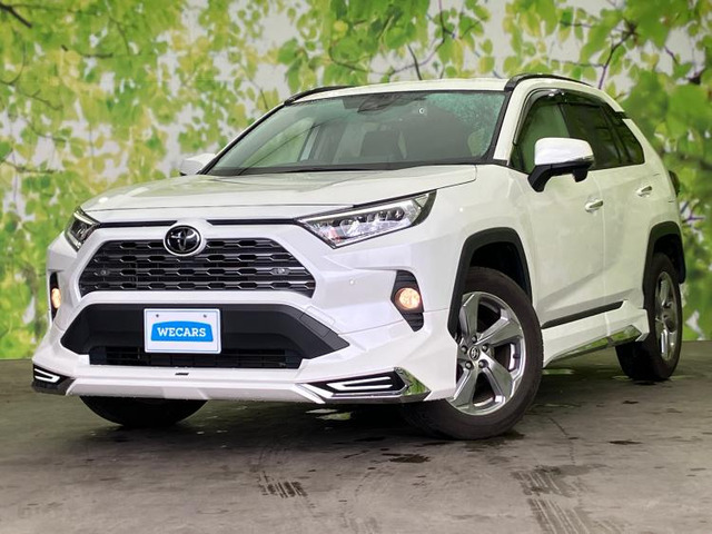 RAV4 2.0 G 4WD 