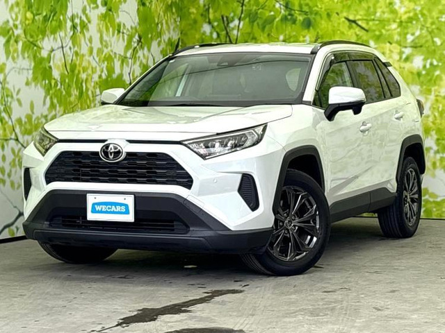 RAV4 2.0 X